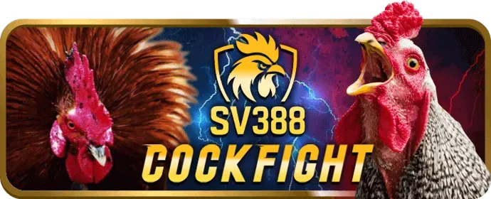Chương trình VIP độc quyền jj88